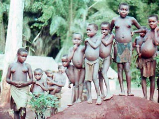В Индонезии при переписи нашли неизвестное племя папуасов, а также 145-летнюю жительницу