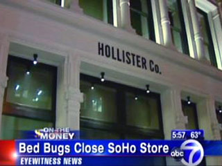 Магазин молодежной одежды Hollister в престижном квартале нью-йоркского Манхэттена закрыли из-за нашествия клопов