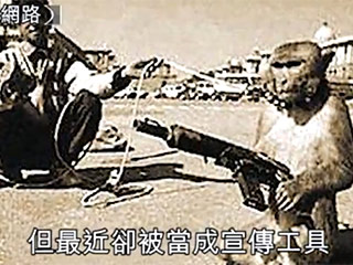 Китайские СМИ сообщают, что талибы готовят обезьяний спецназ. Приматов якобы вооружают автоматами АК-47, пулеметами "Брен" и траншейными минометами, чтобы использовать их для атак на американских военных в Афганистане