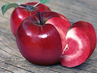 Швейцарскому садоводу Маркусу Коберту удалось добиться того, что не успел совершить Мичурин: скрестить яблоки и помидоры