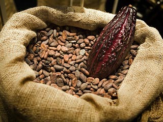 Цены на какао-бобы обновили 33-летний максимум после того, как некий трейдер 16 июля фактически скупил весь европейский запас "шоколадных" бобов