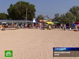 Краснодарская милиция приступила к поискам осла, которого предприниматели запустили на парашюте в небо над пляжем