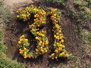 "Несогласные" посадили на Триумфальной площади цветочную цифру "31"