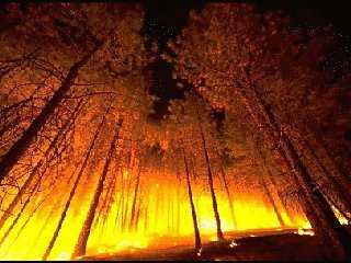 Сильный лесной пожар полыхает на севере канадской провинции Альберта