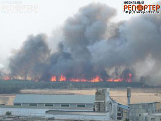 Непрекращающиеся природные пожары угрожают Воронежу: огонь, ранее бушевавший на окраинах, переместился в черту города