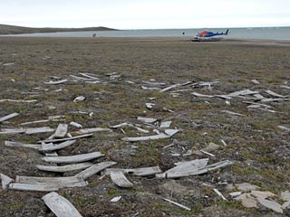 Судно Investigator, оставленное в ледовом плену в 1853 году, было найдено на мелководье в бухте Мерси, что на северном побережье острова Бэнкс на западе арктических владений Канады