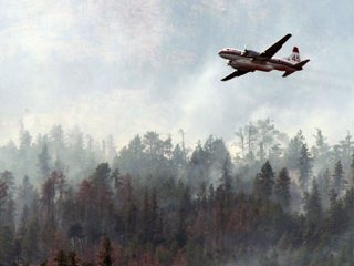 Самолет, участвовавший в борьбе с лесными пожарами, потерпел катастрофу в провинции Британская Колумбия. Экипаж погиб