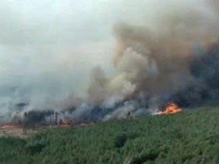 В Центральной России продолжает полыхать большое количество природных пожаров, которые добираются до населенных пунктов и уничтожают целые деревни