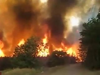 Россия который день охвачена пожарами, в которых горят леса и целые населенные пункты