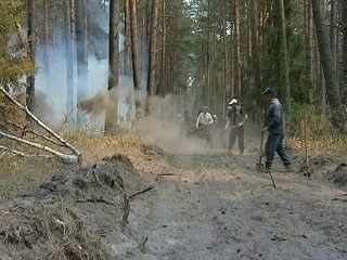 Спасателям и добровольцам на Чукотке удалось справиться с пятью из 11 действовавших лесных и тундровых пожаров на площади около 40,5 тысячи гектаров