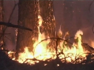 За прошедшие сутки на территории Дальневосточного федерального округа был зарегистрирован только один природный пожар на площади 27 га в Якутии