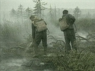 При борьбе с лесными пожарами в Мордовском государственном заповеднике погибли двое военнослужащих