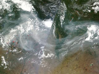 Лесные пожары в европейской части РФ, 10 августа 2010 года