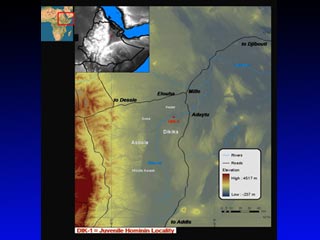 Новые находки ученые обнаружили в местечке Дикика, что в 300 с лишним км к северо-востоку от Аддис-Абебы
