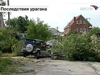 Шквалистый ветер повалил около 50 деревьев в станице Новоивановская Новопокровского района Краснодарского края и оборвал ЛЭП