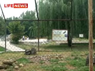 В Ростовском зоопарке кто-то застрелил шесть редких птиц в вольере
