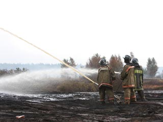 Пожарные больше не нуждаются в помощи добровольцев при тушении лесных пожаров в Подмосковье, так как ситуация стабилизировалось