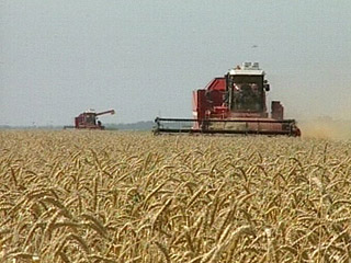 В России с 15 августа вступает в силу запрет на экспорт зерна