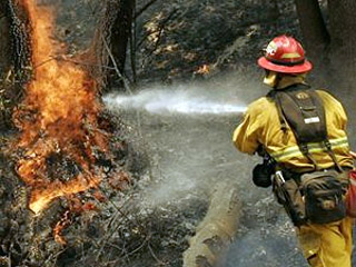Португальским пожарным удалось в воскресенье утром локализовать сильный пожар, бушевавший в течение последних четырех дней в национальном парке Серра да Эштрела на востоке страны