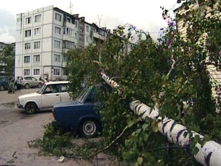 По северо-западной части России в минувшие сутки пронеслись ураганы