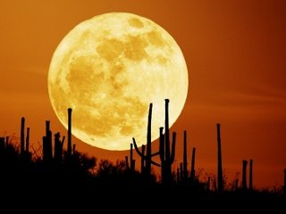 Луна, возможно, уменьшается в размере. Следы такого сжатия обнаружили американские ученые