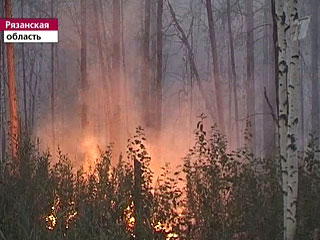 Число лесных пожаров в России вновь резко выросло
