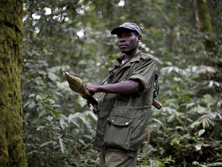 Банда боевиков из Руанды в июле изнасиловала более 150 конголезских женщин