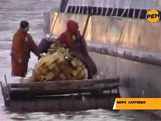 В море Лаптевых нашли тела четырех погибших с затонувшего буксира