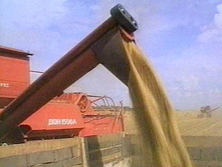 Россия частично отменила запрет на экспорт зерна, чтобы кормить посольства и космонавтов