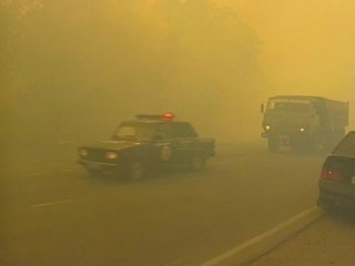 Верховые и низовые пожары охватили 200 гектаров леса под Тольятти. Принято решение перекрыть трассу Самара-Тольятти