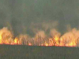 Три природных пожара на площади 93 гектара зарегистрировано за прошедшие сутки в Чукотском автономном округе