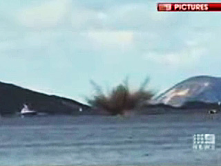 Австралийские природоохранные власти умертвили кита-горбача, применив взрывчатку