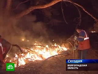 По факту новых природных пожаров в Волгоградской области, жертвами которых стали, по последним данным, шесть человек, органы Госпожнадзора возбудили пять уголовных дел