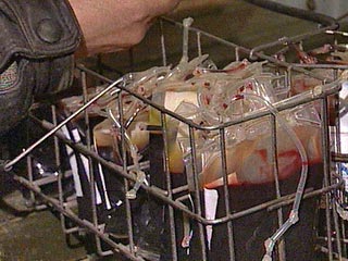 Полковник медицинской службы в запасе Николай Понасенков обвиняется в хищении 70 литров препарата из донорской крови, которую сдавали военнослужащие Внутренних войск РФ