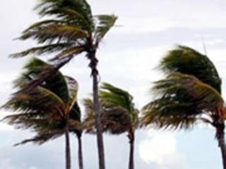 Атлантический ураган "Эрл" в ночь на субботу ослабел до уровня тропического шторма, сообщает американская телекомпания  CNN со ссылкой на Центр слежения за ураганами в Майами