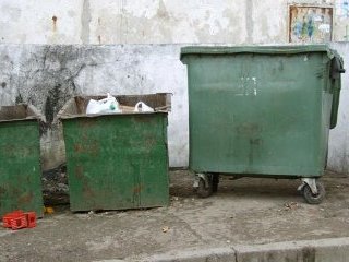 Житель города Благовещенска в Амурской области, выносивший мусор вечером, обнаружил в контейнере тело новорожденного ребенка