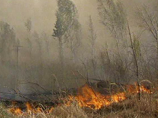 Крупные лесные пожары бушуют на Сахалине и в Забайкалье
