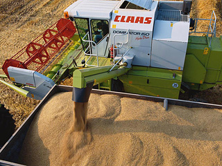 Локомотивом, потянувшим за собой рост цен на другие товары, стали цены на зерно, семена и кормовые