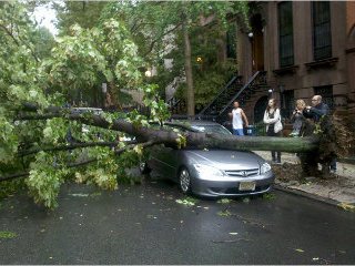 В результате сильнейшего шторма, пронесшегося над Нью-Йорком, порывами ветра повалено множество деревьев
