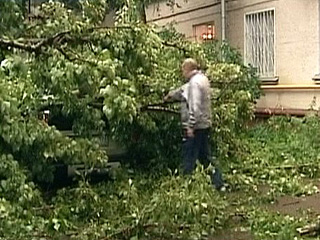 На протяжении двух часов в Ростове-на-Дону скорость ветра достигает 20 м/сек. Отмечено большое количество поломанных деревьев, а также имеются обрывы линии электропередач
