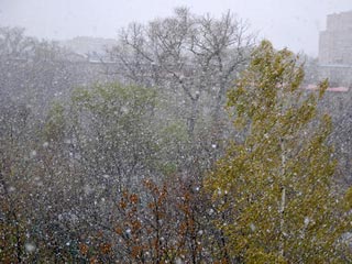 На европейскую территорию России надвигается похолодание. В ближайшие дни синоптики обещают первый снег в столице. А пока в московском регионе ожидается промозглая осенняя погода