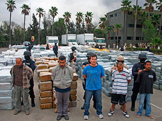 Мексиканские силовые структуры изъяли 105 тонн марихуаны в ходе проведения спецоперации на севере страны