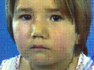 В Подмосковье раскрыто зверское убийство шестилетней гражданки Узбекистана