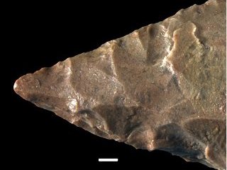 Доисторический человек освоил довольно сложный и трудоемкий процесс изготовления копей и ножей из камня, по крайней мере, на 50 тысяч лет раньше, чем предполагали ученые