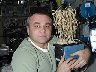 Российский космонавт Максим Сураев, который провел на МКС полгода, получил долгожданное звание Героя России, в предоставлении которого Министерство обороны отказывало дважды