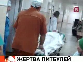 В больнице Краснодара в ночь на вторник скончалась 85-летняя женщина, ветеран войны, на которую неделю назад напали два питбуля