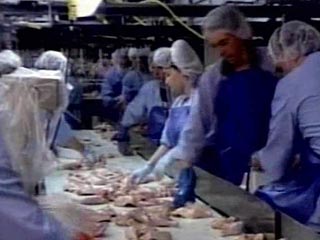 Главы крупнейших мясоперерабатывающих предприятий России отправили письмо на имя первого вице-премьера Виктора Зубкова с предложением не вводить запрет на переработку замороженного мяса птицы