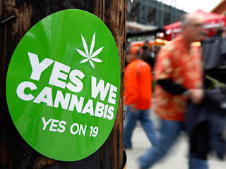В начале ноября в Калифорнии прошел референдум по вопросу легализации марихуаны, а именно разрешения лицам 21 года и старше иметь при себе марихуану весом до 28 грамм