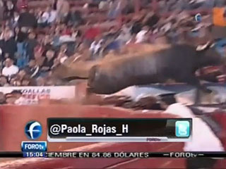 Огромный 500-килограммовый бык перепрыгнул ограждение арены и ринулся на трибуны во время корриды в столице Мексики