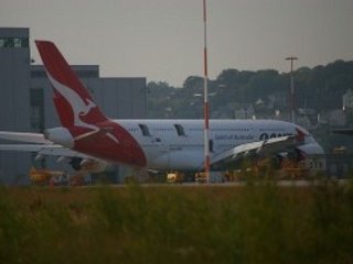 Пассажирский самолет австралийской авиакомпании Qantas был вынужден вернуться в аэропорт южноафриканского города Йоханнесбург после столкновения в воздухе со стаей птиц